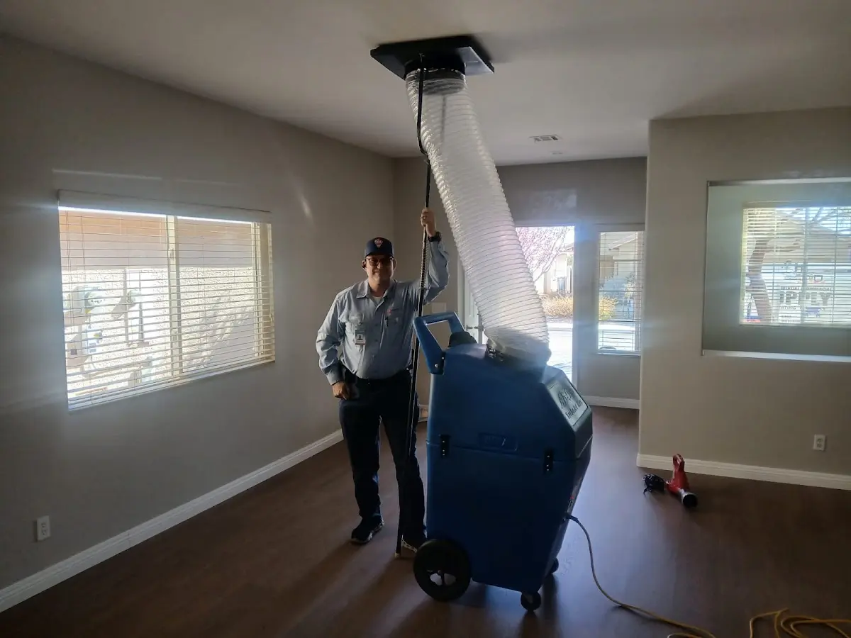 Professional Dryer Vent Cleaning work inside a Longswamp home